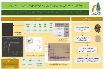 قالب فارسی چکیده مصور-عاطفه شعبانلو